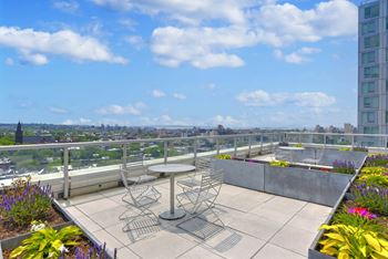 Rooftop deck
